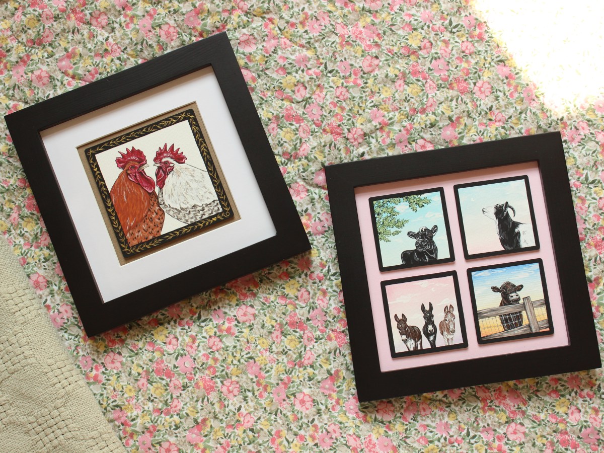 barn sanctuary auction&nbsp;items