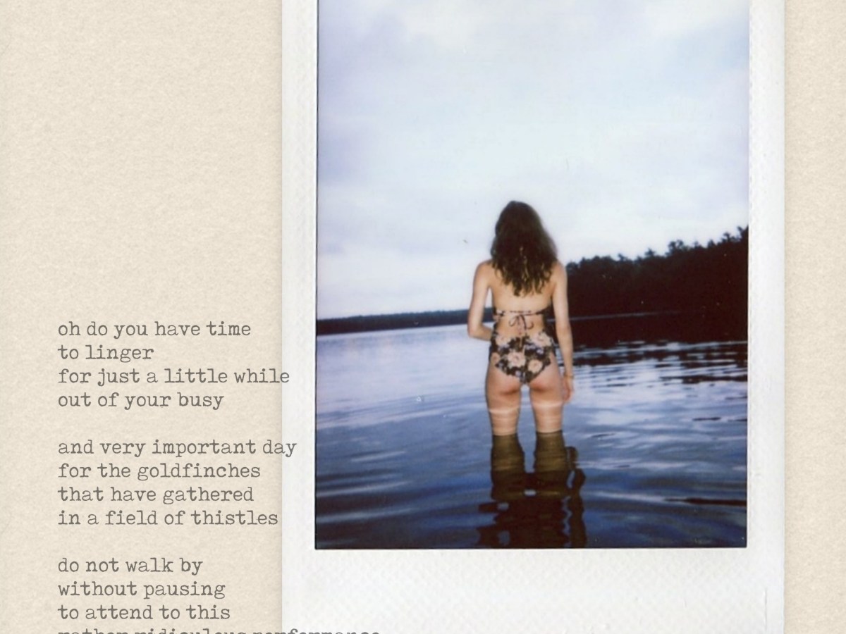 polaroids on the&nbsp;pond