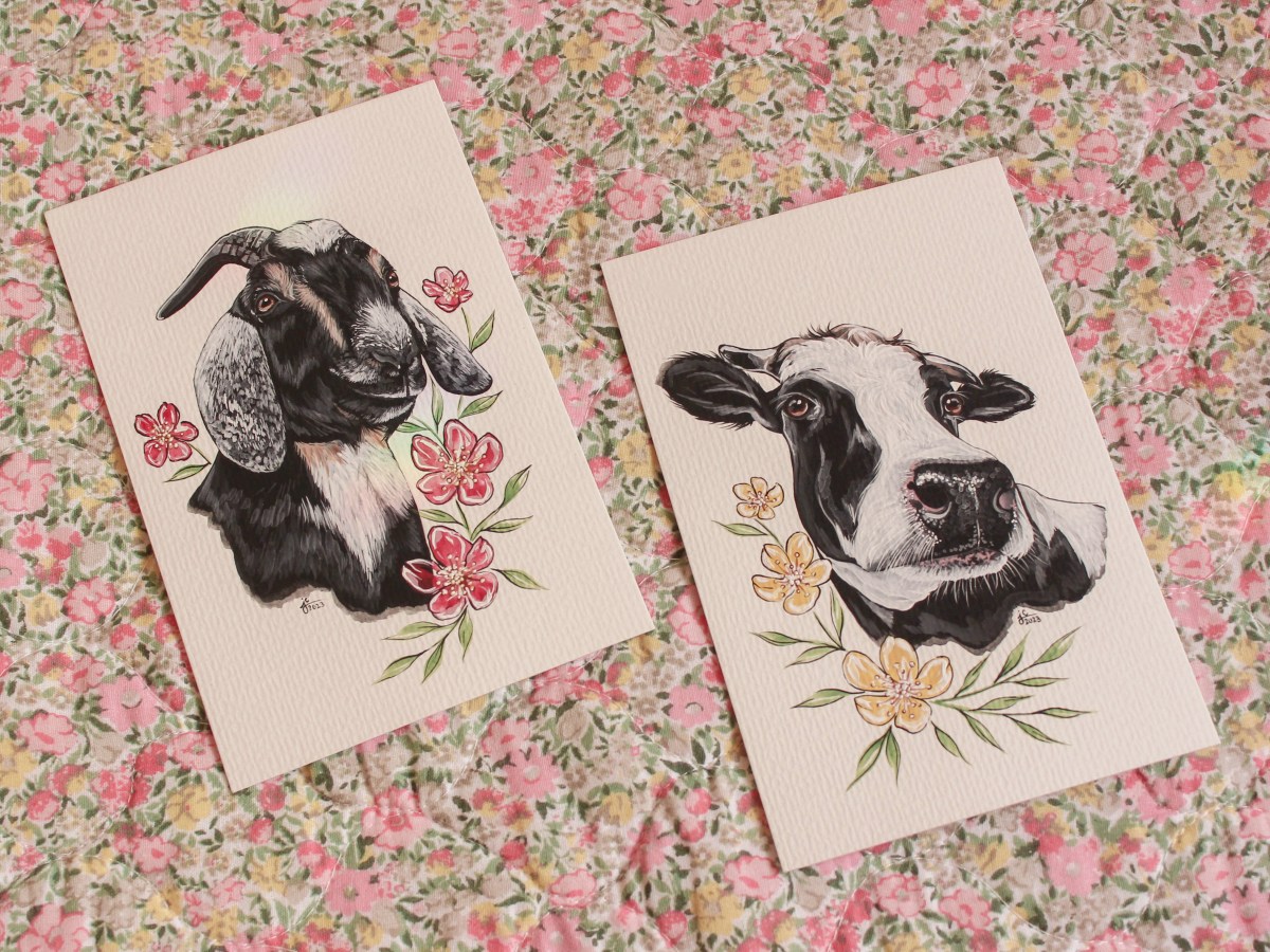 woodstock sanctuary donations