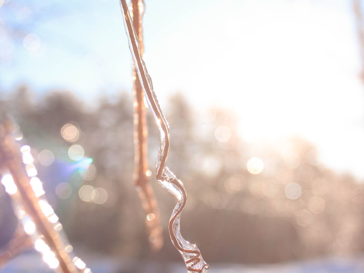 the art of&nbsp;sharing