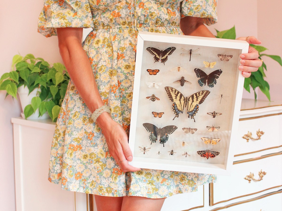 a girl and her bug&nbsp;collection