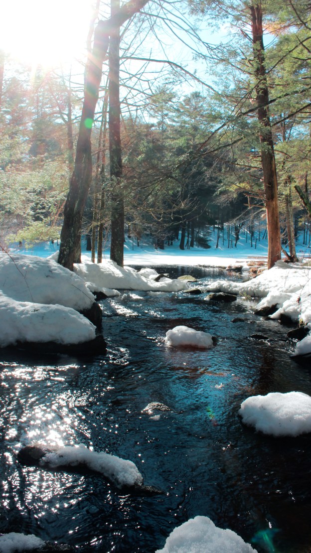 A stream flowing in between snow-covered rocks with the sun shining through the trees,