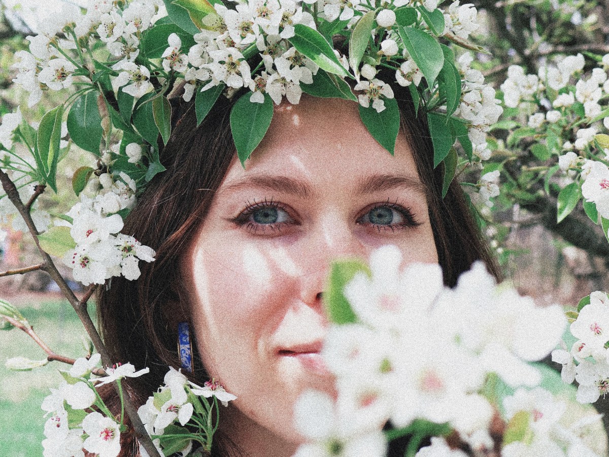 pear blossoms