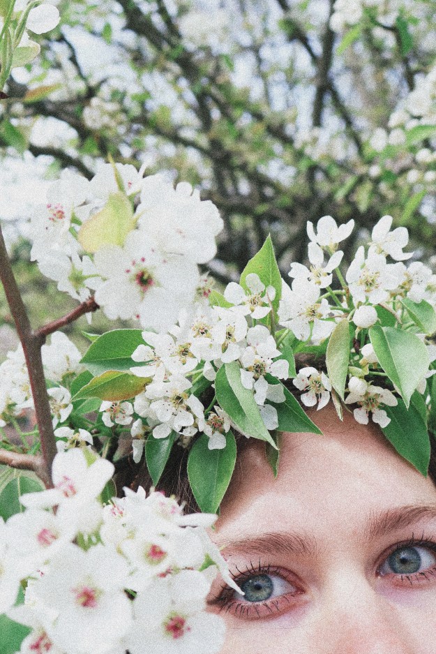 A girl standing surrounded by pear blossoms