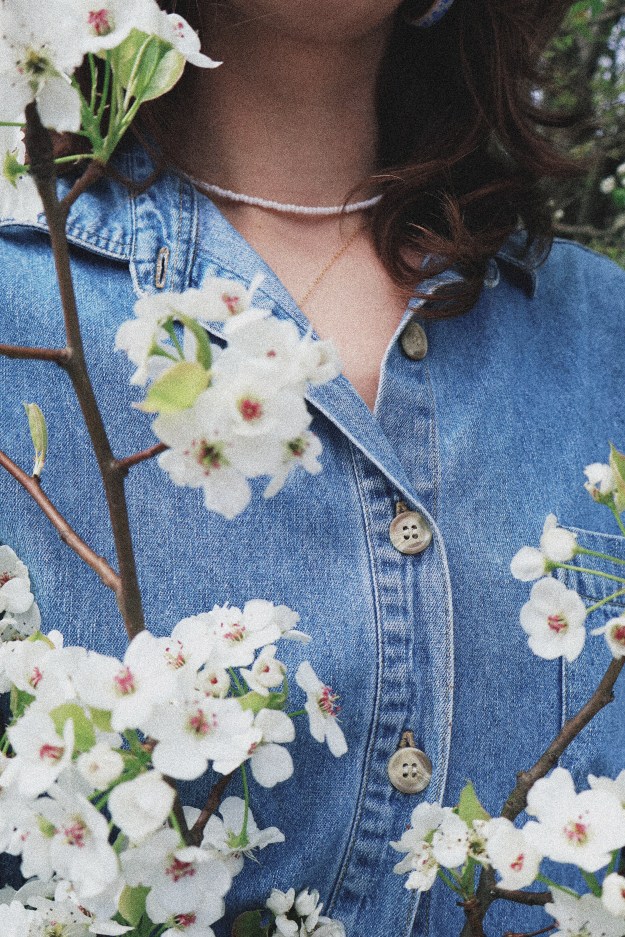 Pear flowers help up in front of a blue denim shirt
