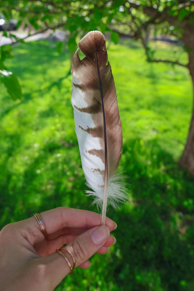 A hand holds a feather against a green background