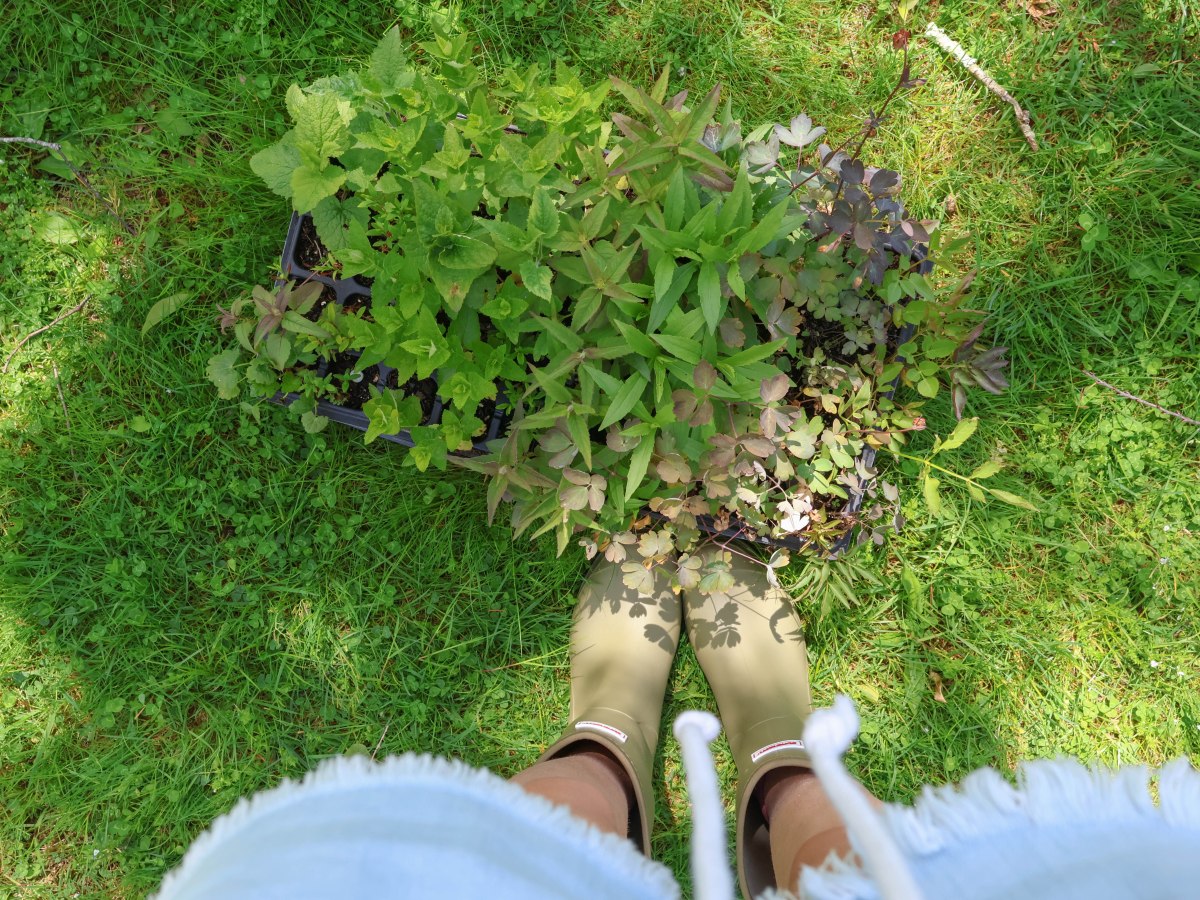 a busy spring