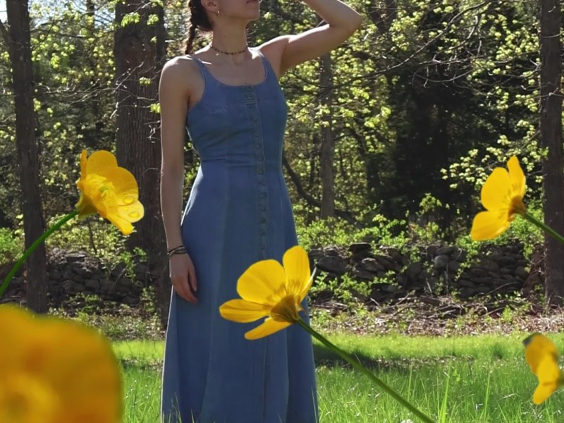 of wildflowers