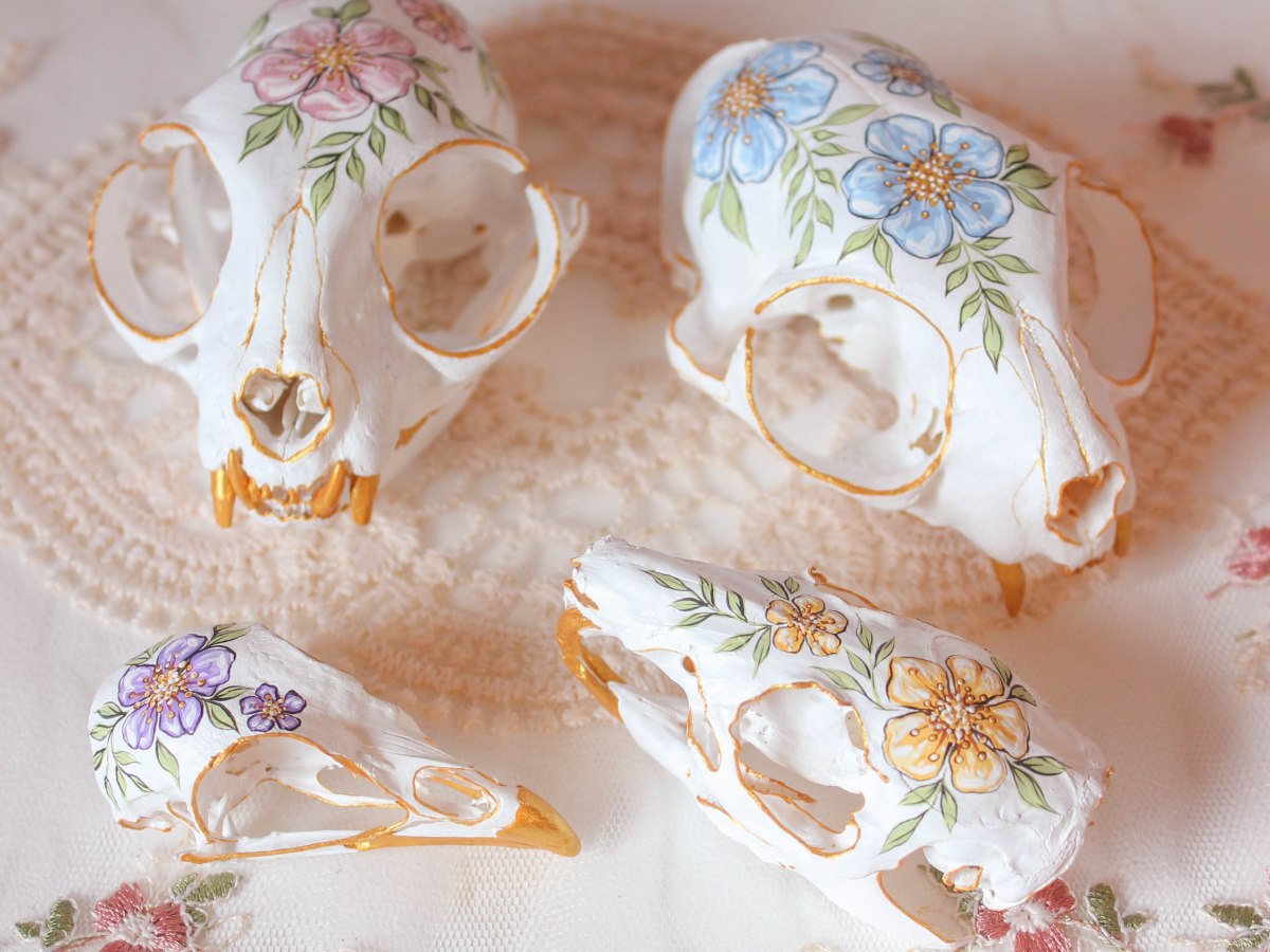 collecting skulls (and respecting the&nbsp;dead)