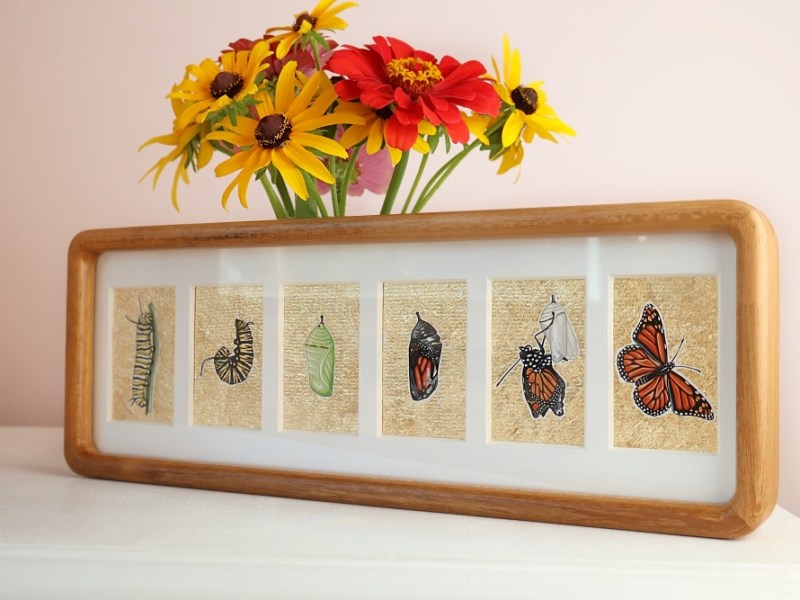 monarch painting